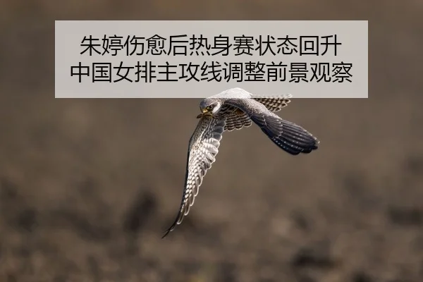 朱婷伤愈后热身赛状态回升 中国女排主攻线调整前景观察